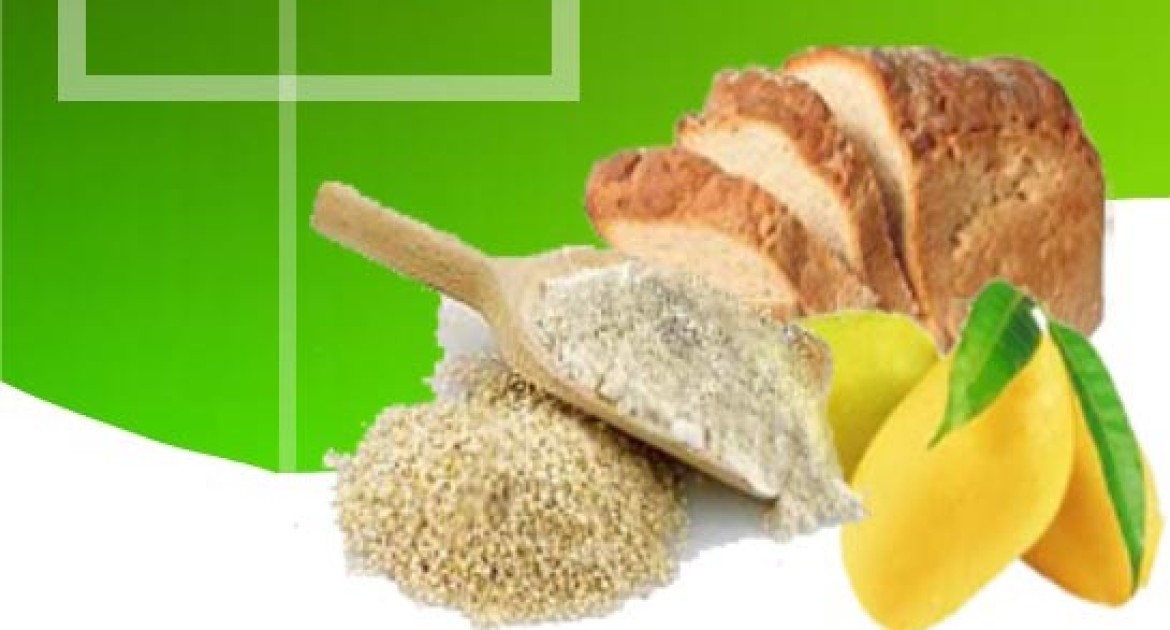 GEMS Mango Flour Green Enviro Management Systems Inc.